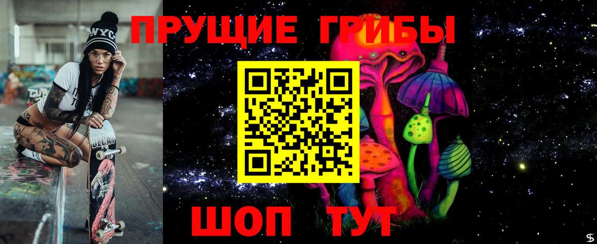 Зима  Галлюциногенные грибы GOLDEN TEACHER  Вход с VPN 