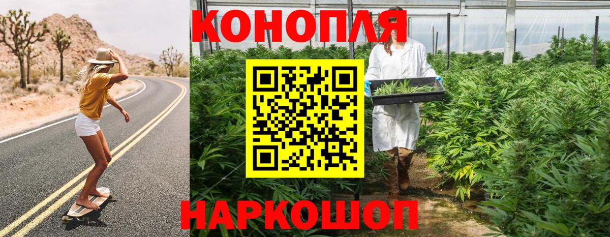 Шишки марихуана план  Вход с VPN  Каннабис AK-47  Зима 